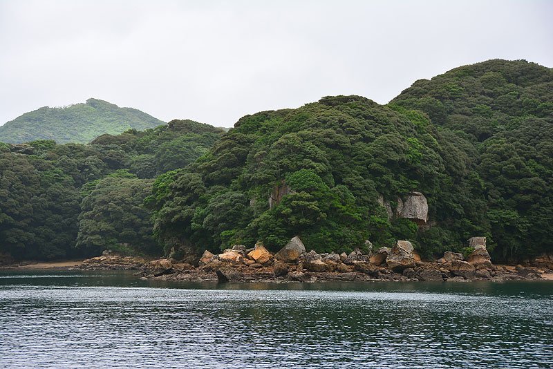 DSC_0383.JPG