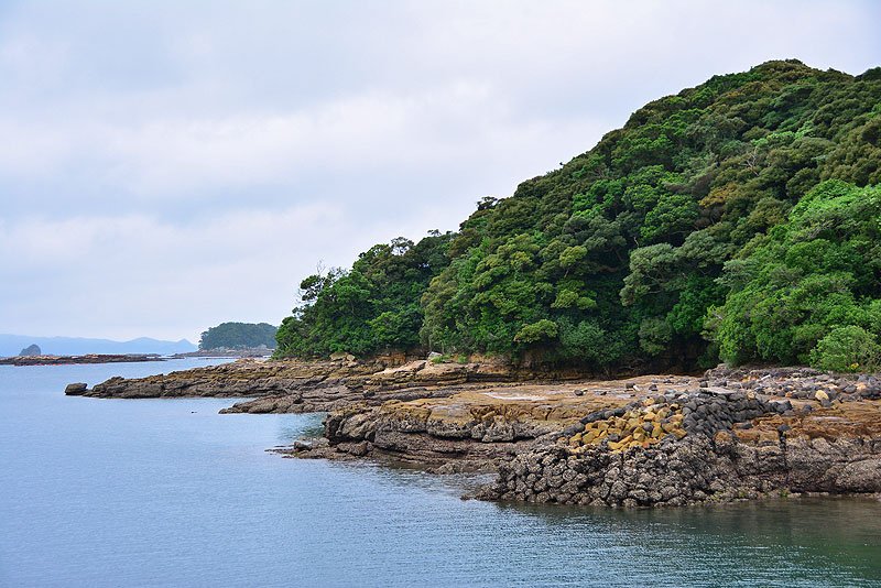 DSC_0385.JPG