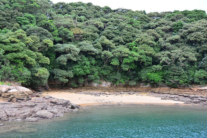 DSC_0386.JPG