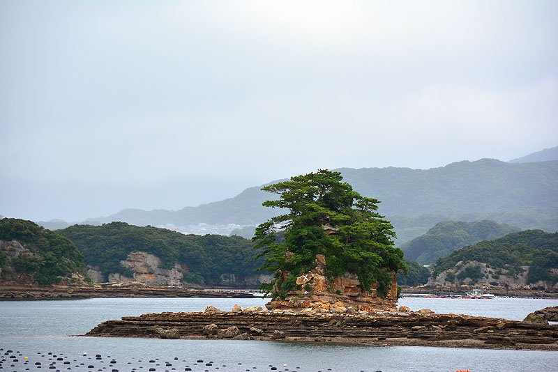 DSC_0400.JPG