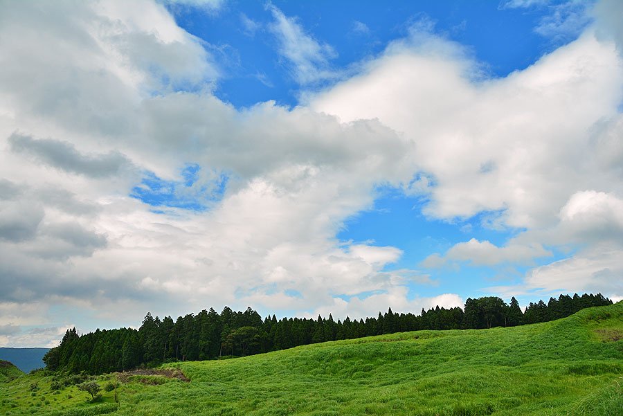 DSC_1241.JPG