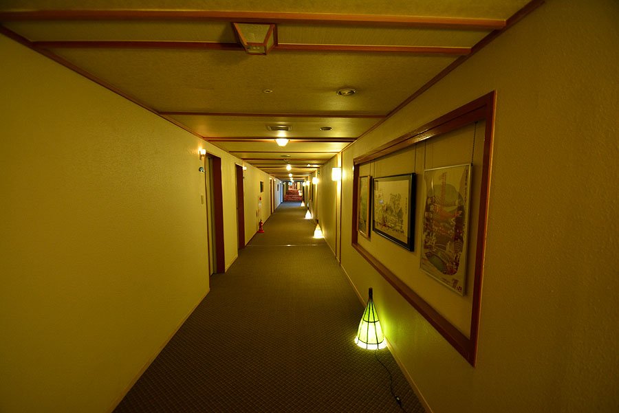 DSC_1646.JPG
