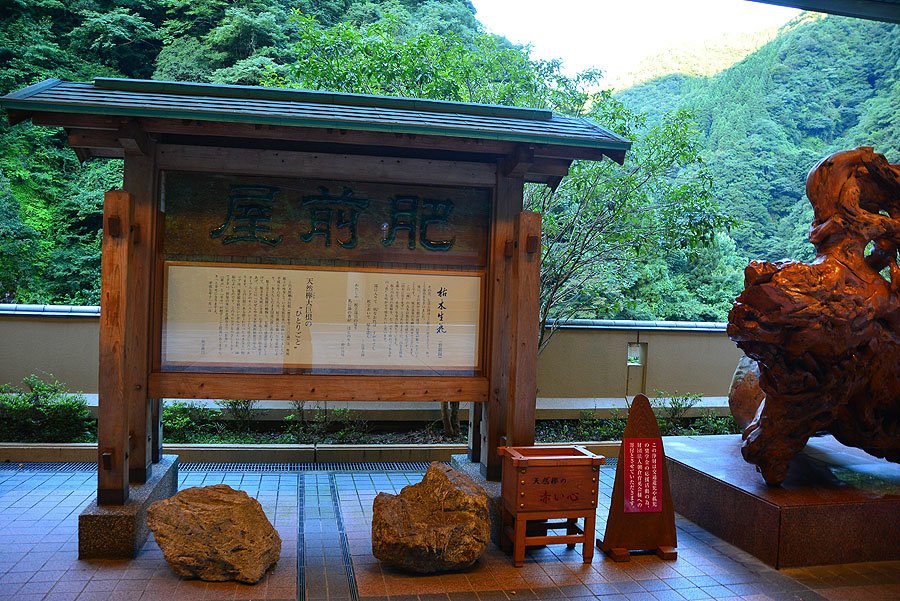 DSC_1686.JPG