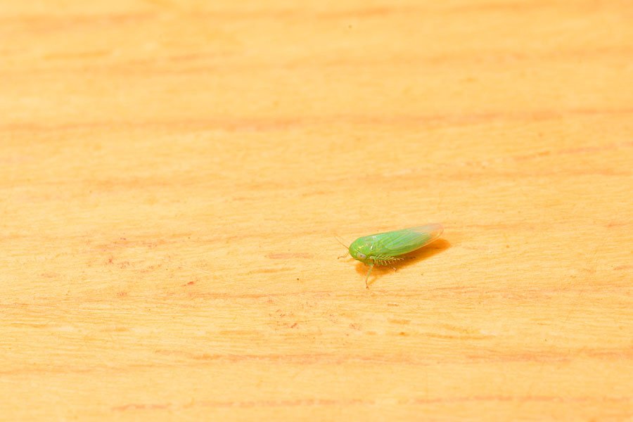 DSC_3032.JPG
