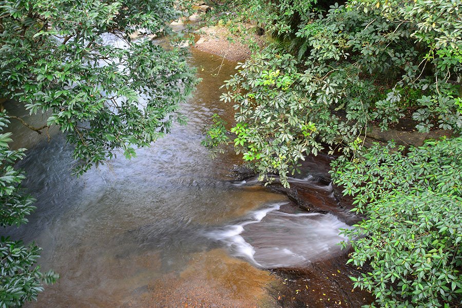 DSC_7250.JPG