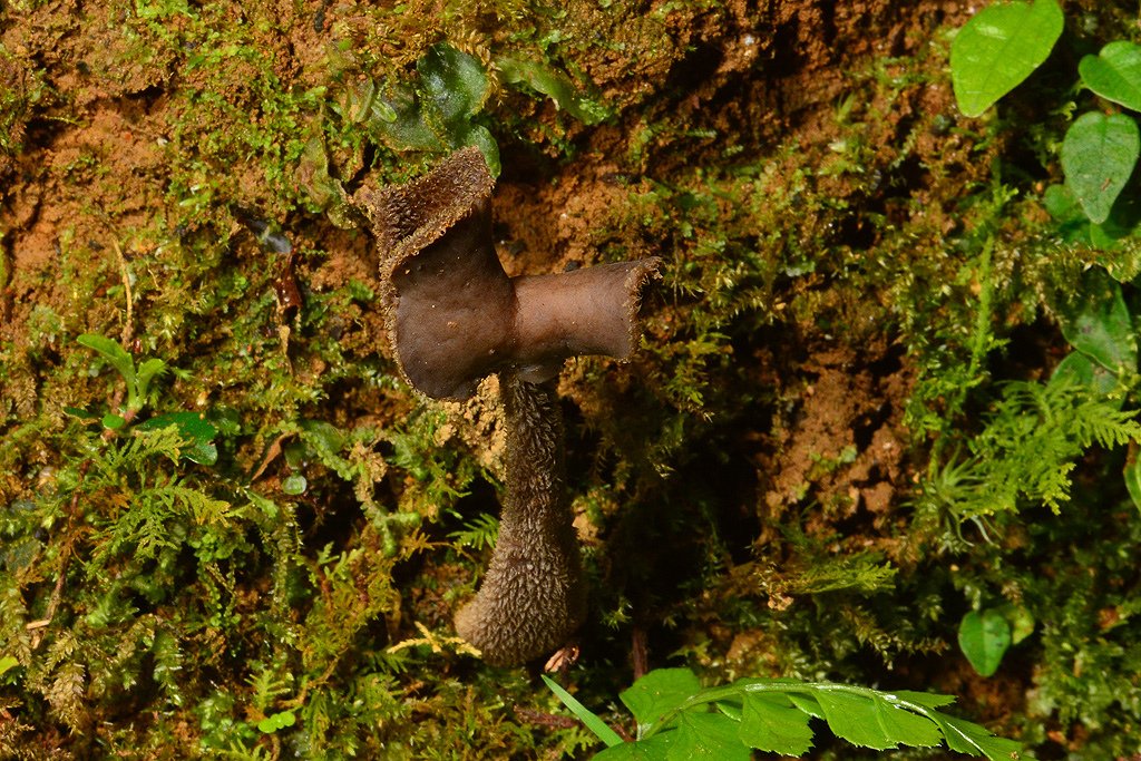 DSC_1026.JPG