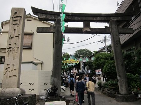 IMG_4940.JPG