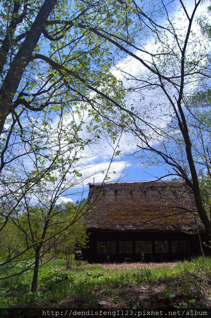 DSC01732-1