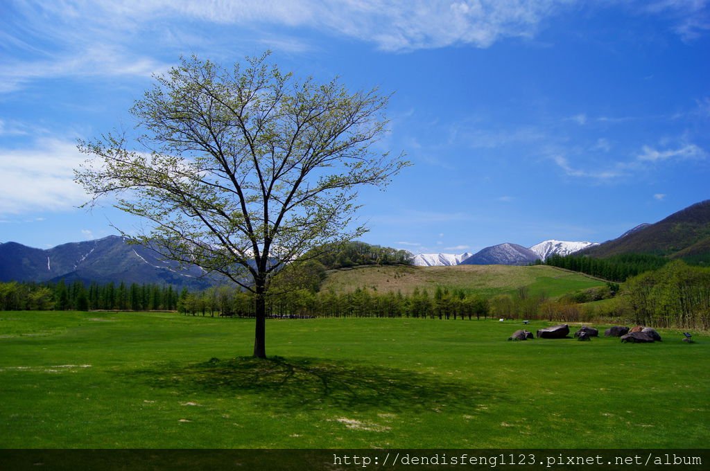 DSC01790-2