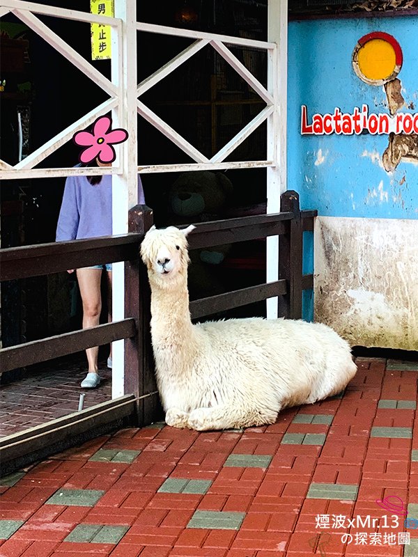今夜星辰休閒農場-7