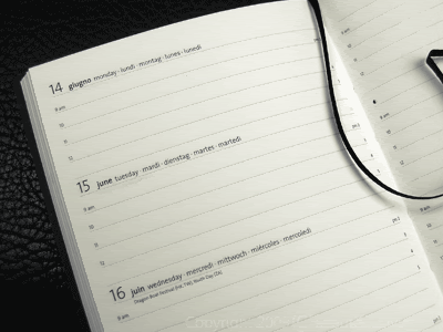 Ciak-Planner-Page-2.gif