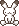 rabbit_25