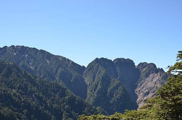 DSC_0771a.jpg