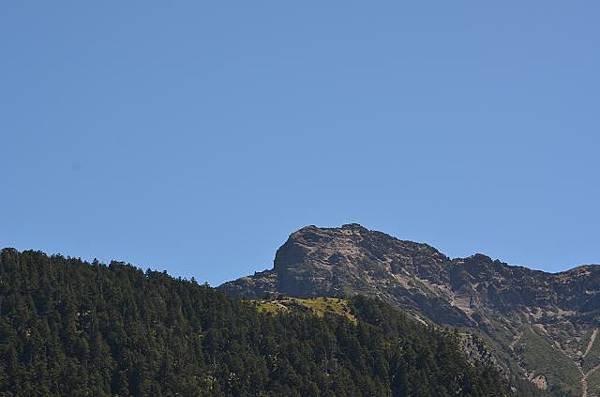 DSC_0822a.jpg