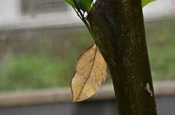 qZ8m6q7bjqRj6EMDMY5V0g[1]aaa.jpg