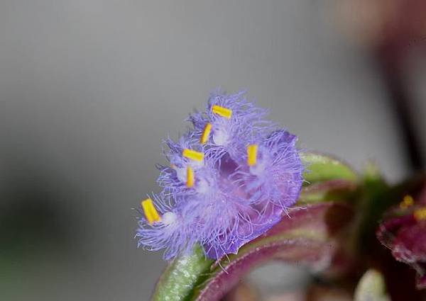 DSC_1855aa.jpg
