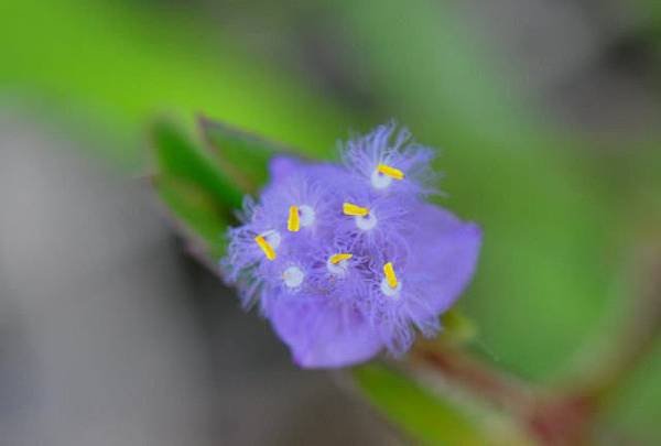 DSC_1943aaa.jpg
