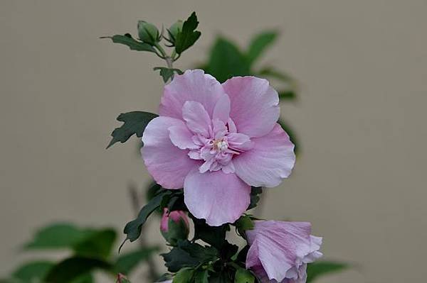 DSC_1644a.jpg