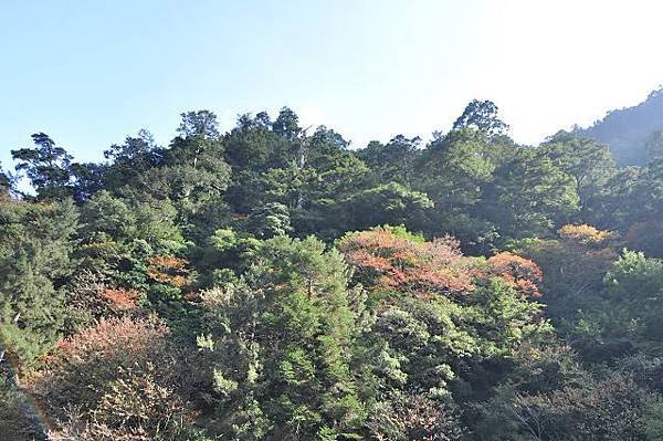 DSC_2351a.jpg