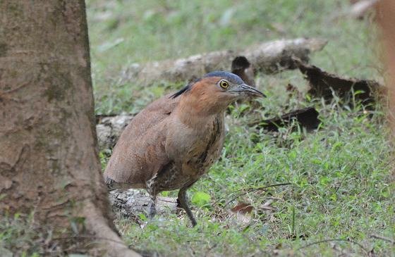 DSC_8824a.jpg