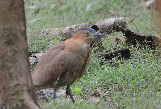 DSC_8825aaaa.jpg