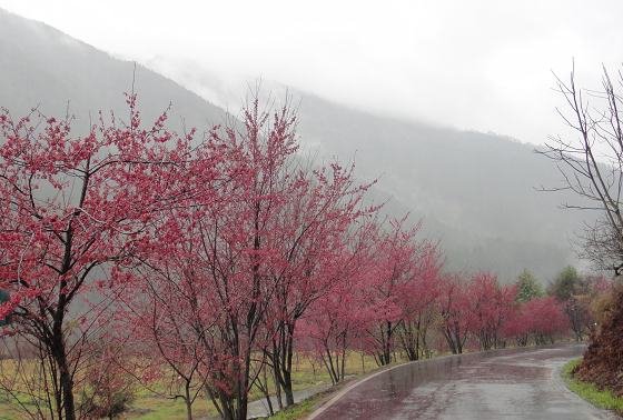 DSC02783a.jpg