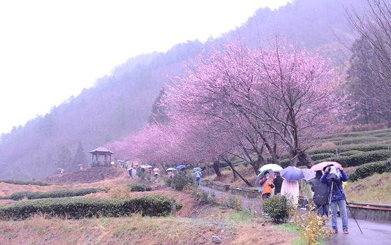 DSC_3468a.jpg
