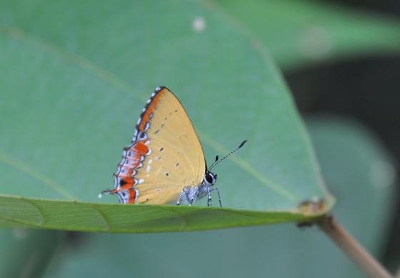 DSC_3143aaaaaa.jpg