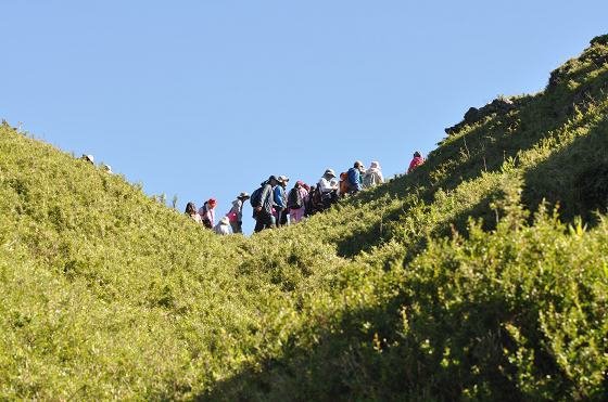 DSC_3345a.jpg