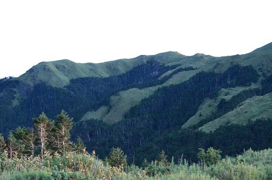 DSC_5688a.jpg