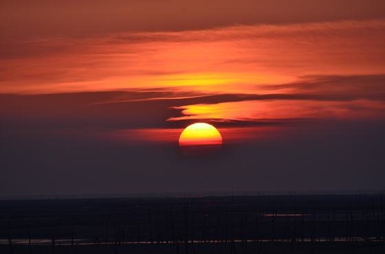 DSC_5741a.jpg