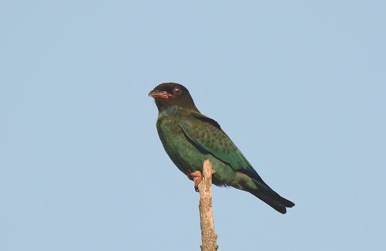 DSC_3445aa.jpg