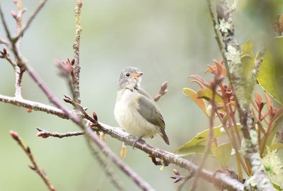 DSC_2069aaa.jpg