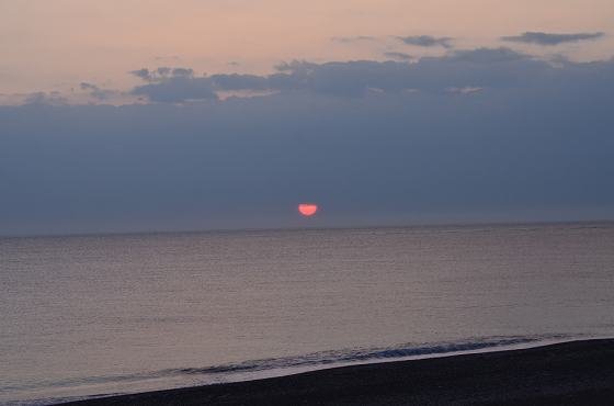 DSC_6915a560.jpg