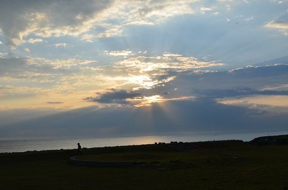 DSC_6931a560.jpg