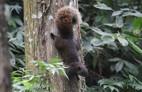 DSC_4760aa560.jpg