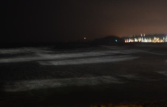 DSC_8348a560.jpg