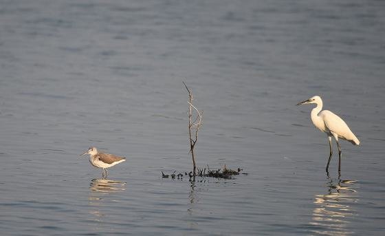 DSC_5439aaaa560.jpg