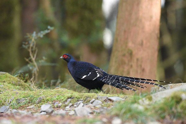 DSC_3639aaa600.jpg