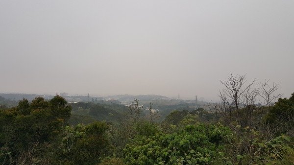 20160315_064834a600.jpg