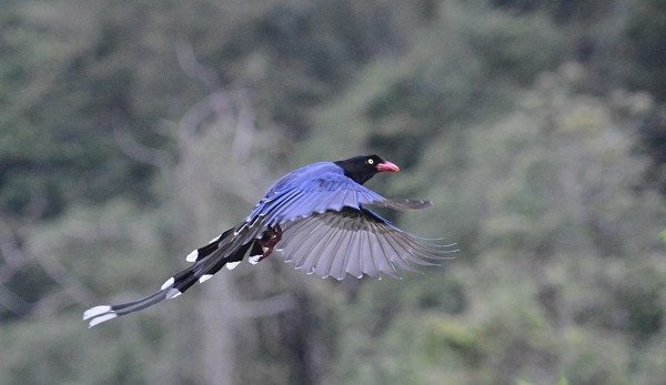 DSC_4264aaa600.jpg