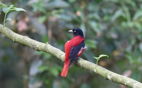 DSC_8958aaaaa600.jpg