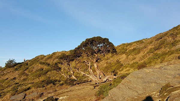 20160508_053717a600.jpg