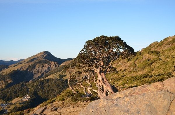 DSC_9177aaa600.jpg