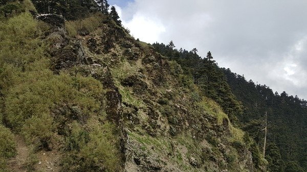 20160528_145059a600.jpg
