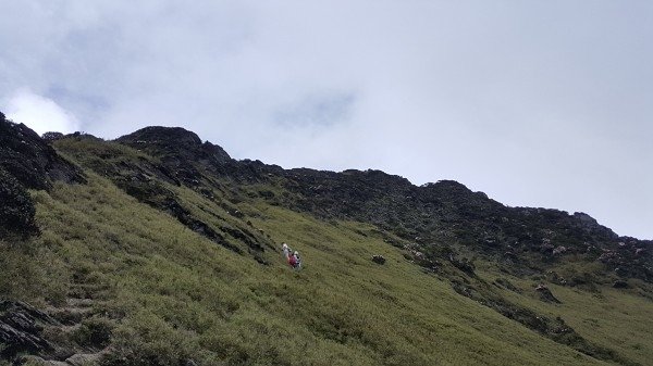 20160528_150519a600.jpg