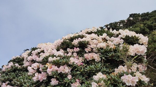 20160528_152235aaa600.jpg