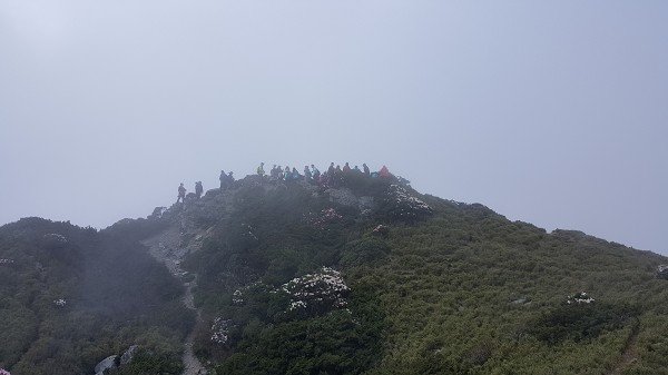 20160528_154215a600.jpg
