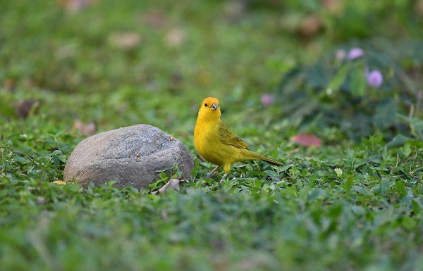DSC_0141aaa600.jpg