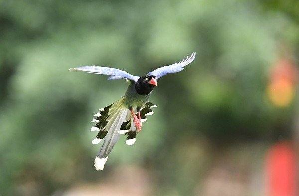 DSC_4924aaaa600.jpg
